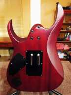 2_ibanez_rga.jpg
