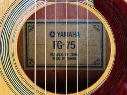 9_yamaha_fg_75.jpg