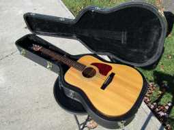 1_ibanez_acoustic_guitar.jpg