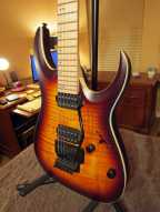 4_ibanez_rga.jpg